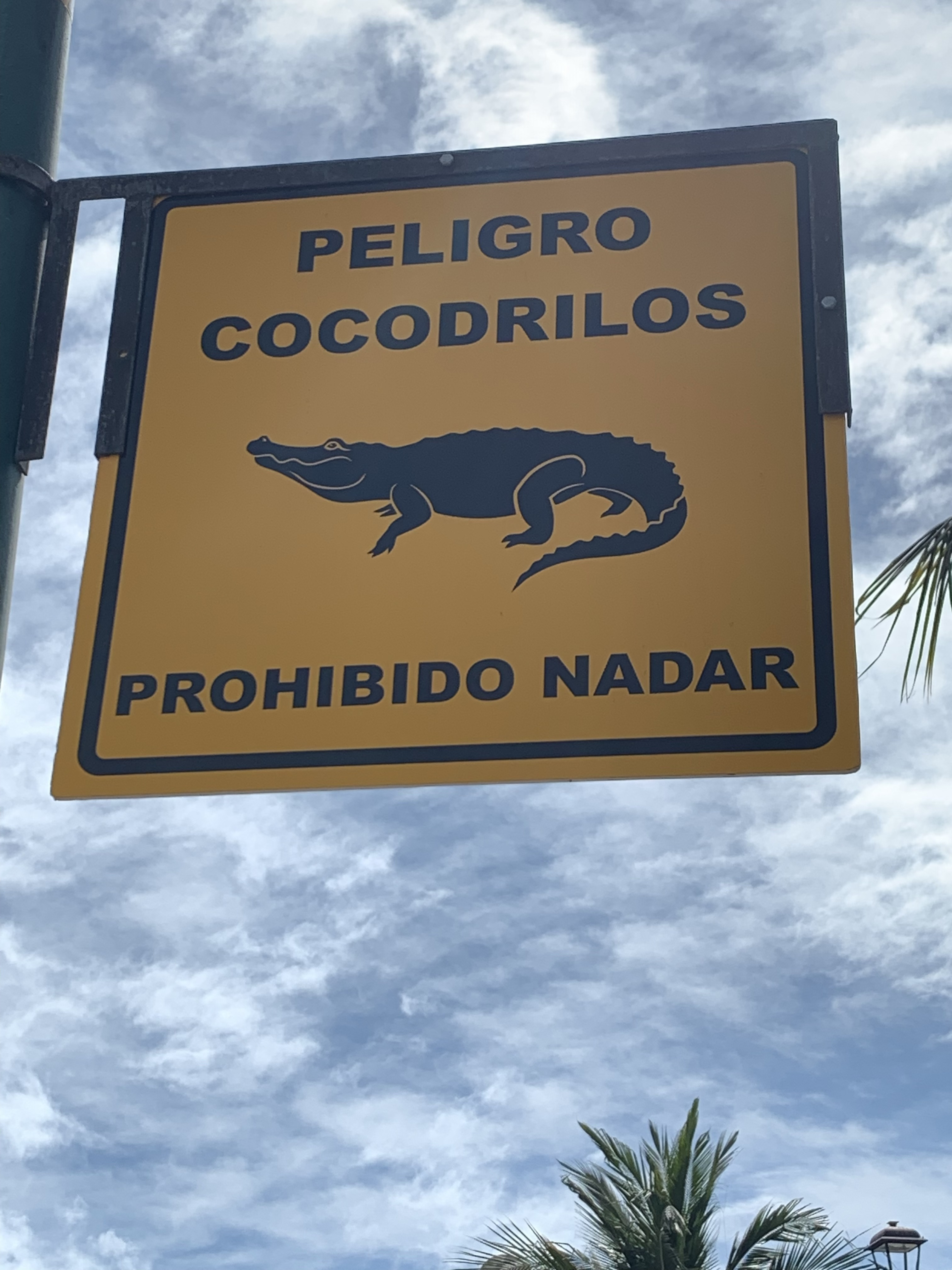 PV Beware Crocodiles (Puerto Vallarta)